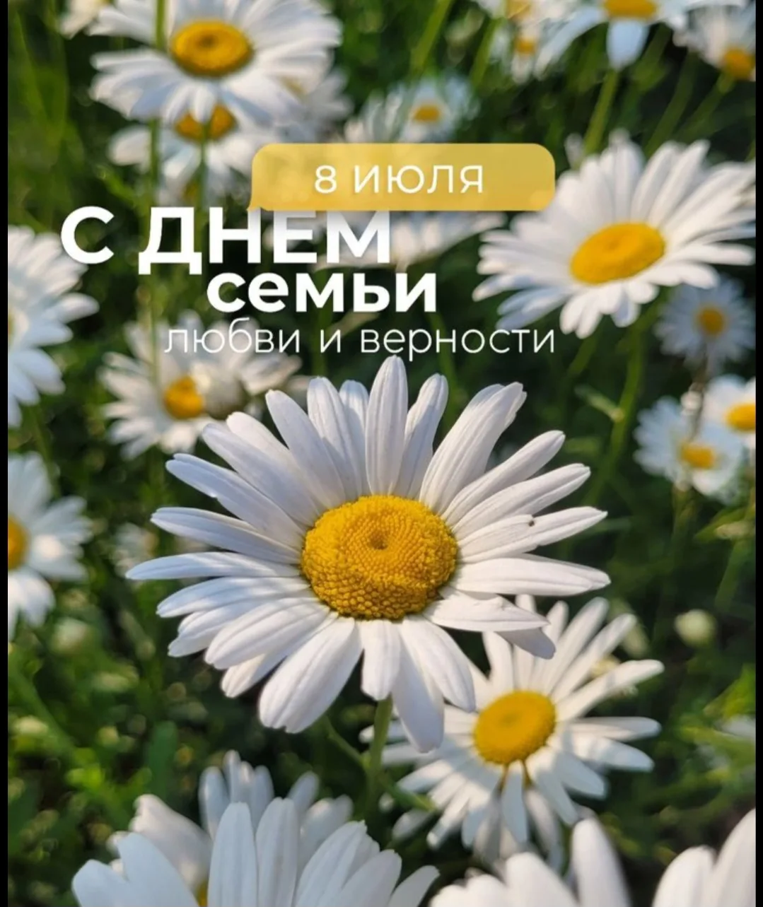 Сегодня мы отмечаем один из самых светлых и душевных праздников — День семьи, любви и в...