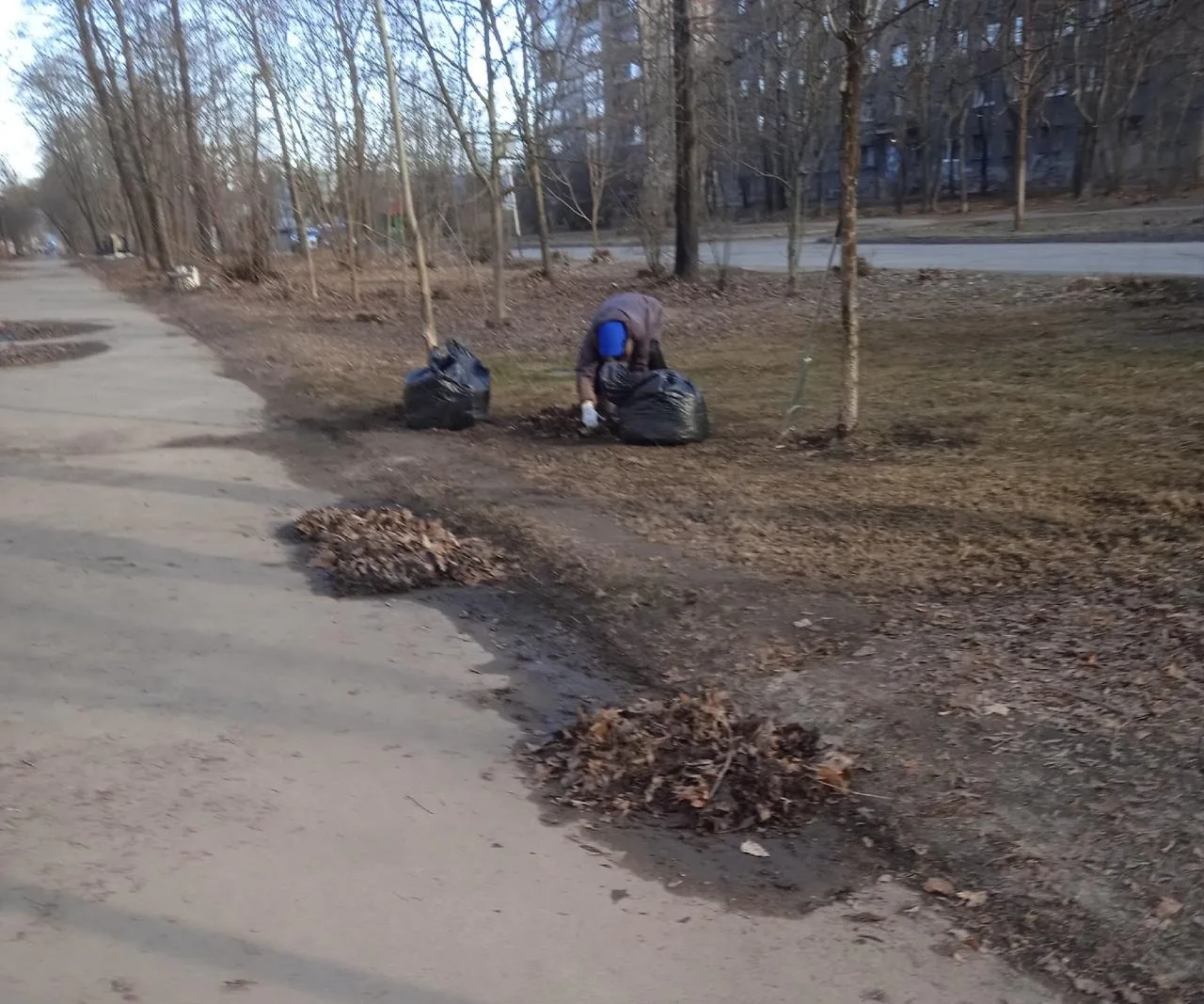 🌿 в Кондопоге 89-летняя пенсионерка убирала мусор
