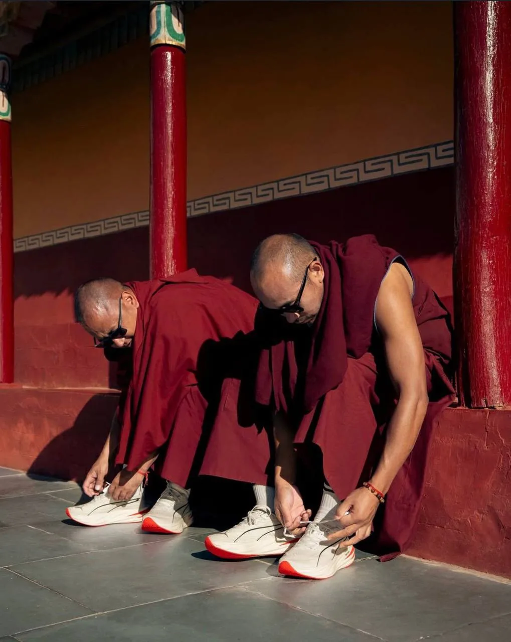 Буддисткая Puma