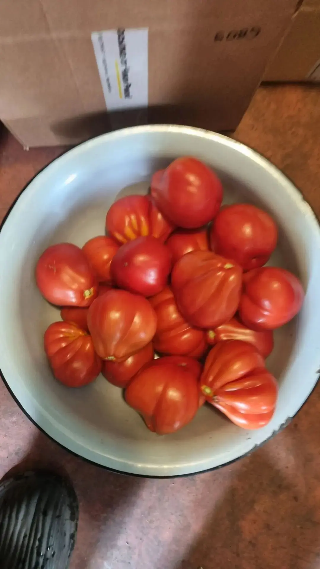 Продаём вкуснейшие помидоры. Домашние. Сладкие. Вам они нужны! И в консервацию, и на пе...
