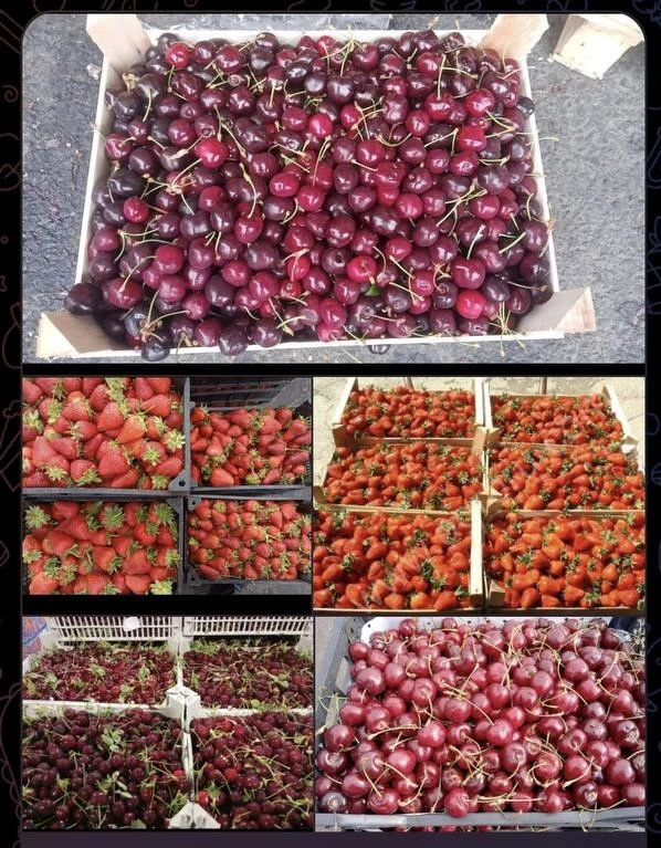 Добрый день!
Сегодня в продаже

Черешня вкусная ,Азербайджан по 485₽ за кг(от 2 кг)
🍒 Вишня Иран 33