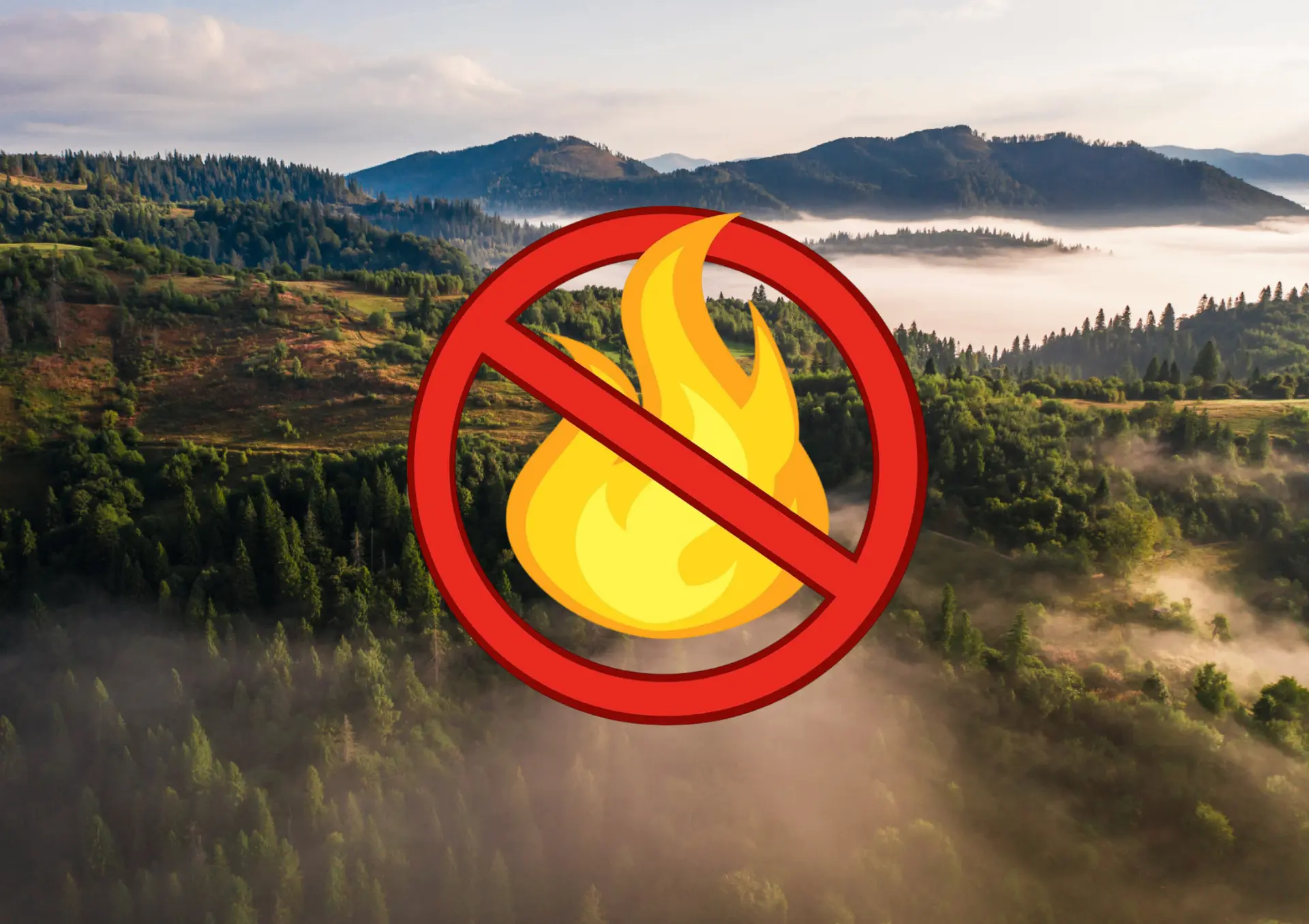 🔥 Урмандарҙы уттан һаҡлағыҙ!