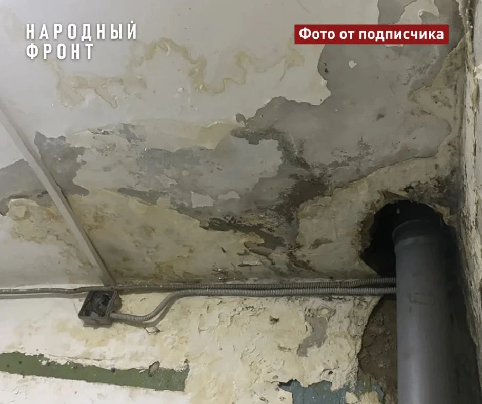 Ремонта в подъезде не было 10 лет, а УК платят. Жители пятиэтажки в Томске пожаловались на тараканов