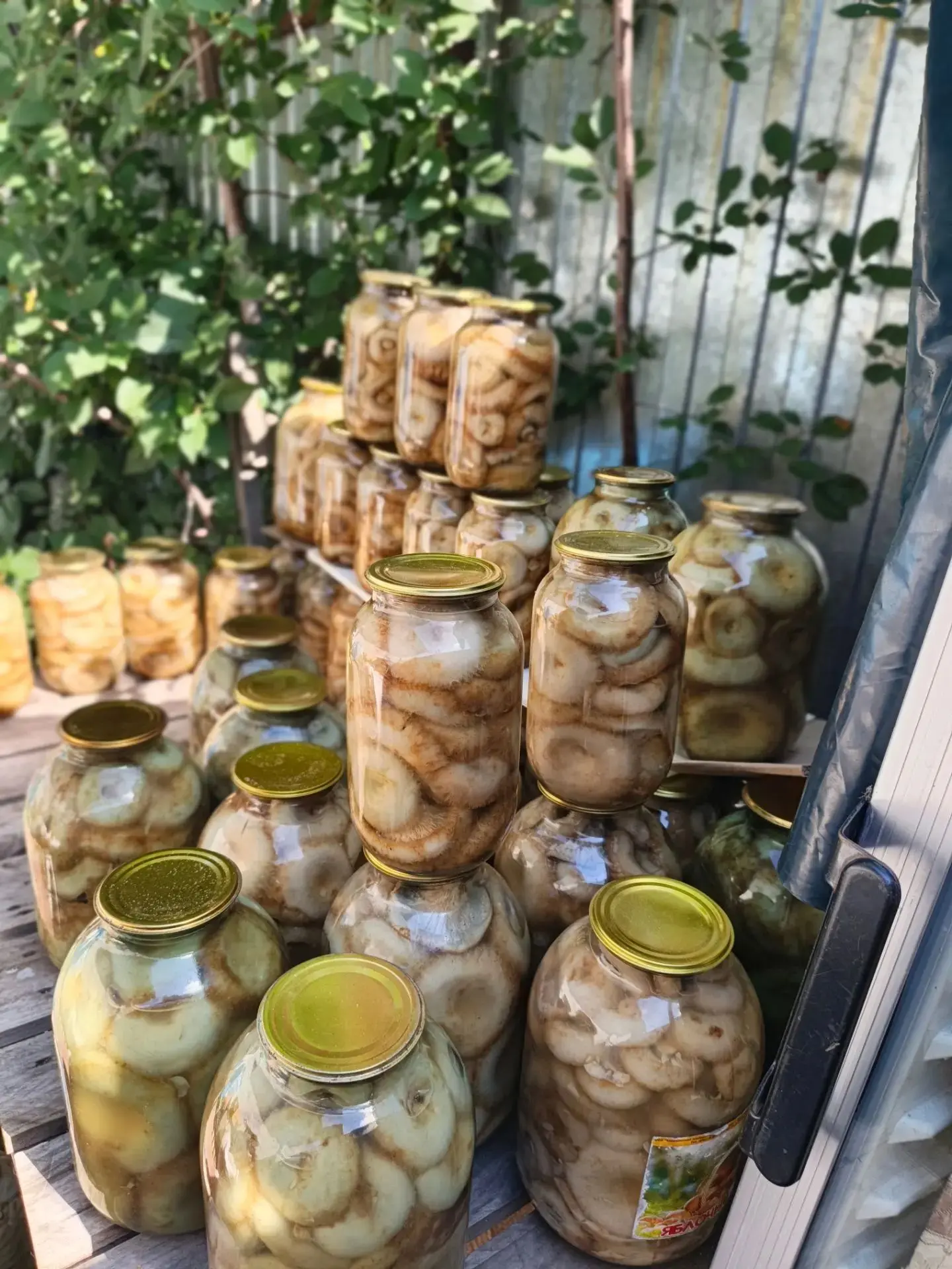Грузди соленые отборные (мокрый груздь, горячего посола)