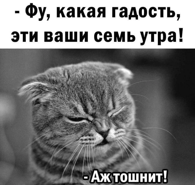 Ведьмин котелок 🧙 Подписаться