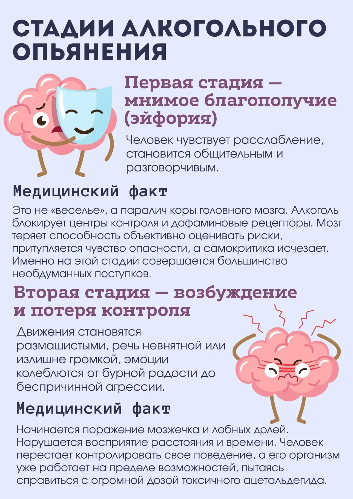 Что на самом деле происходит с организмом при опьянении?🥴