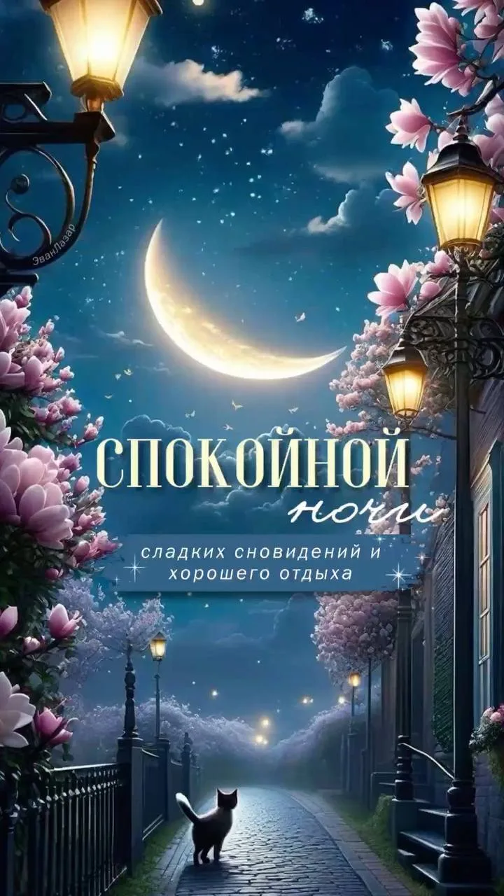 ОТКРЫТКИ