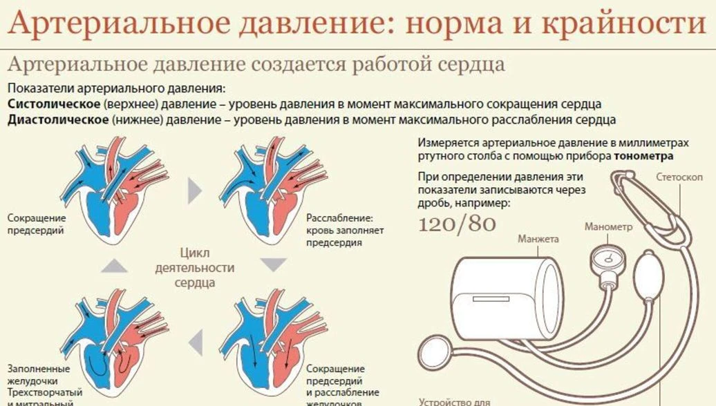 📚 Молчаливый убийца: Что нужно знать о гипертонии

Артериальную гипертонию часто называют «молчалив