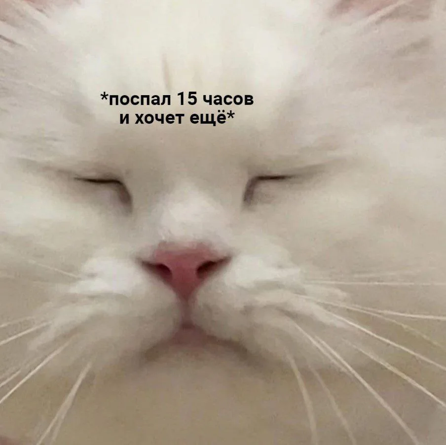 Мемы в MAX