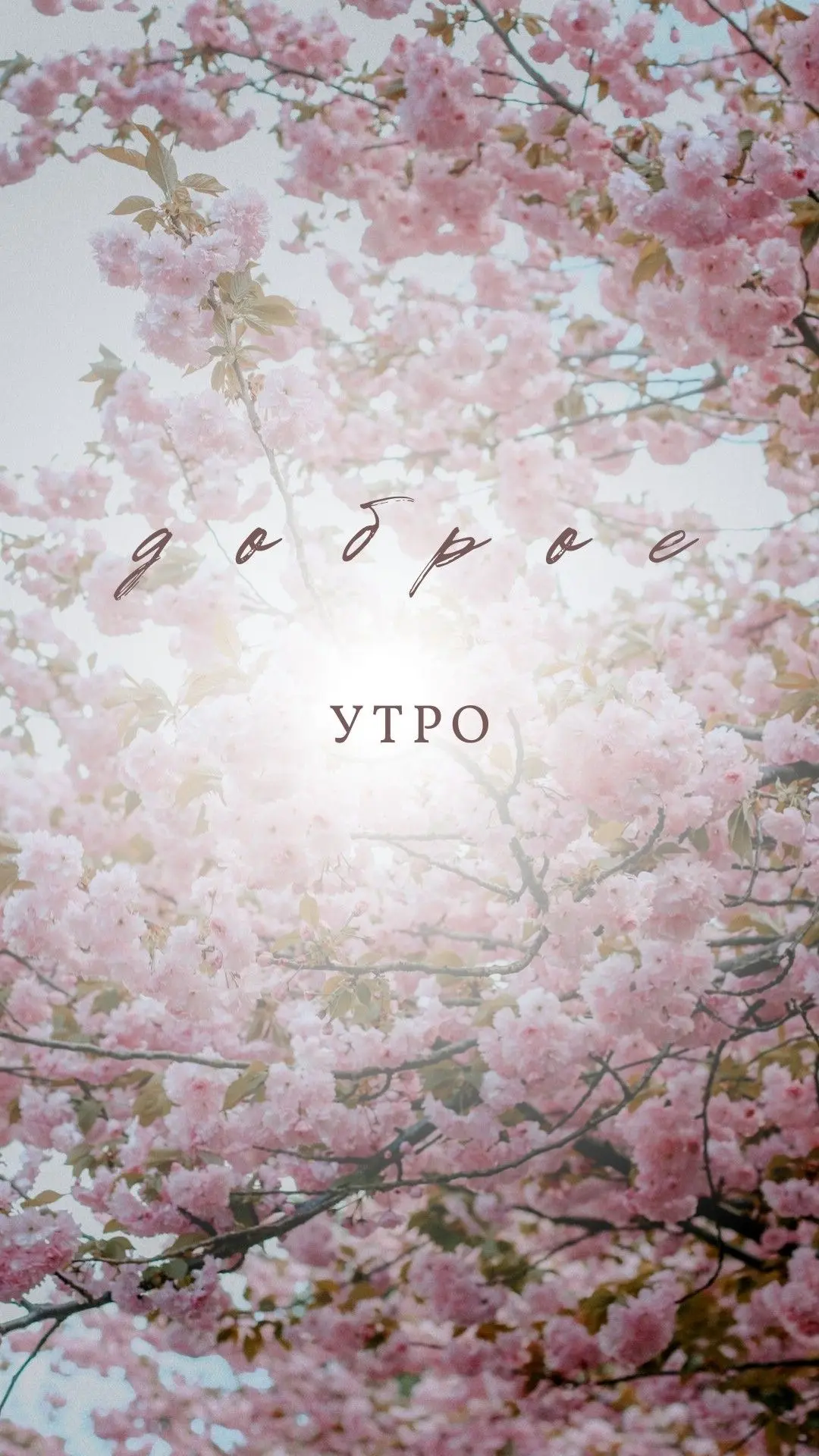Доброе утро ❤️ 
Позитивных эмоций вам 😉
Хороших выходных.
