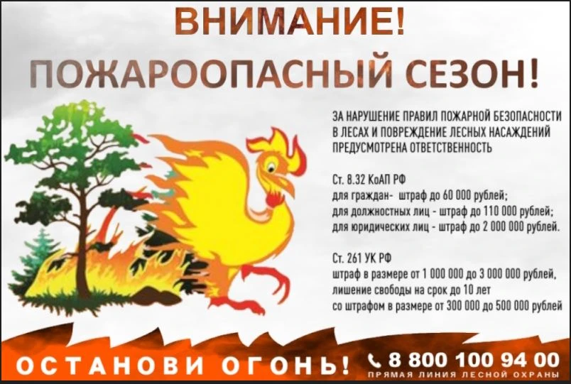 "Внимание! Пожароопасный сезон! Соблюдайте правила пожарной безопасности в лесах. Преду...