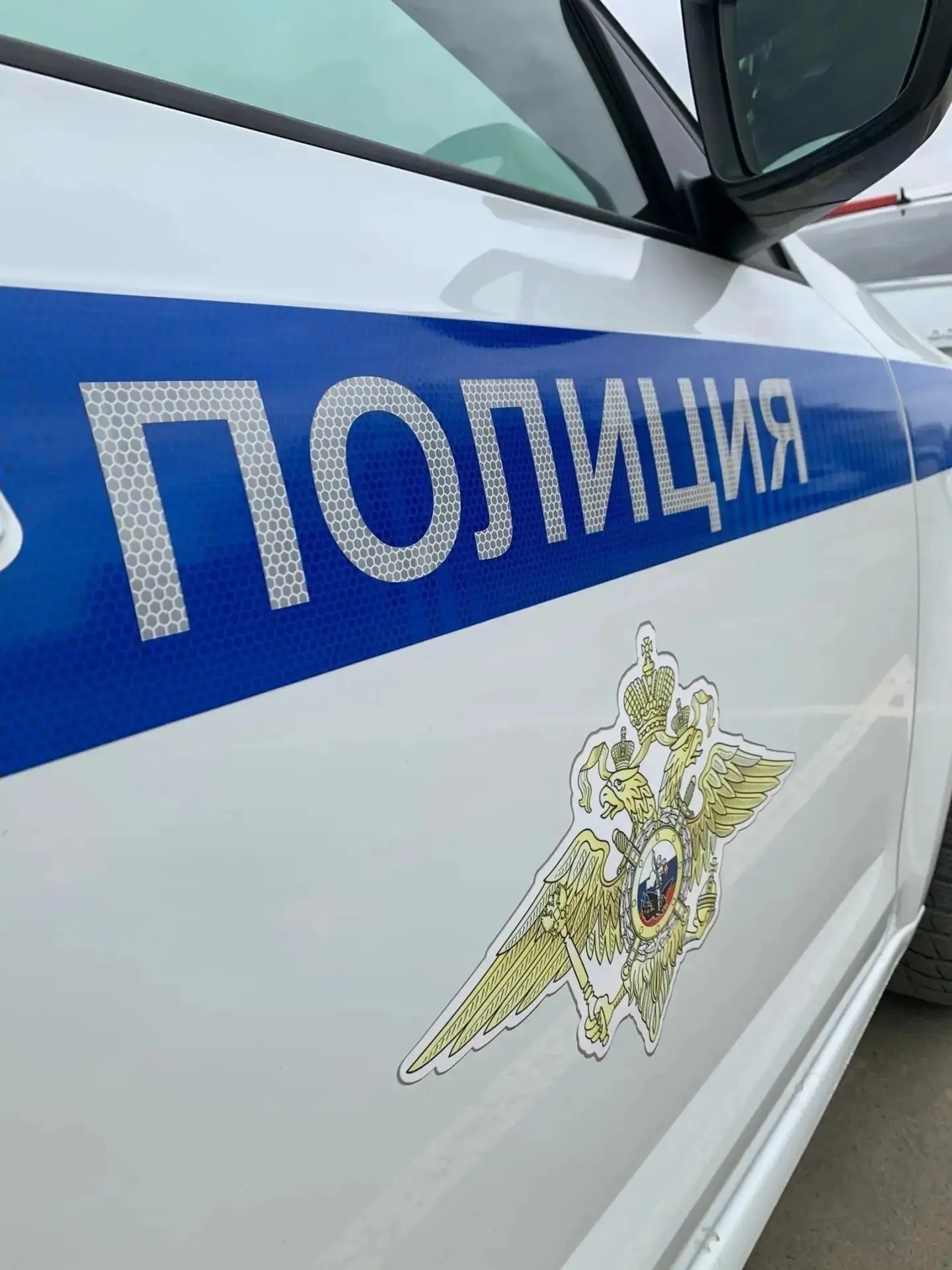 В Яшкульском районе мужчина стал фигурантом уголовного дела за угрозу убийством сожительницы

В Яшку