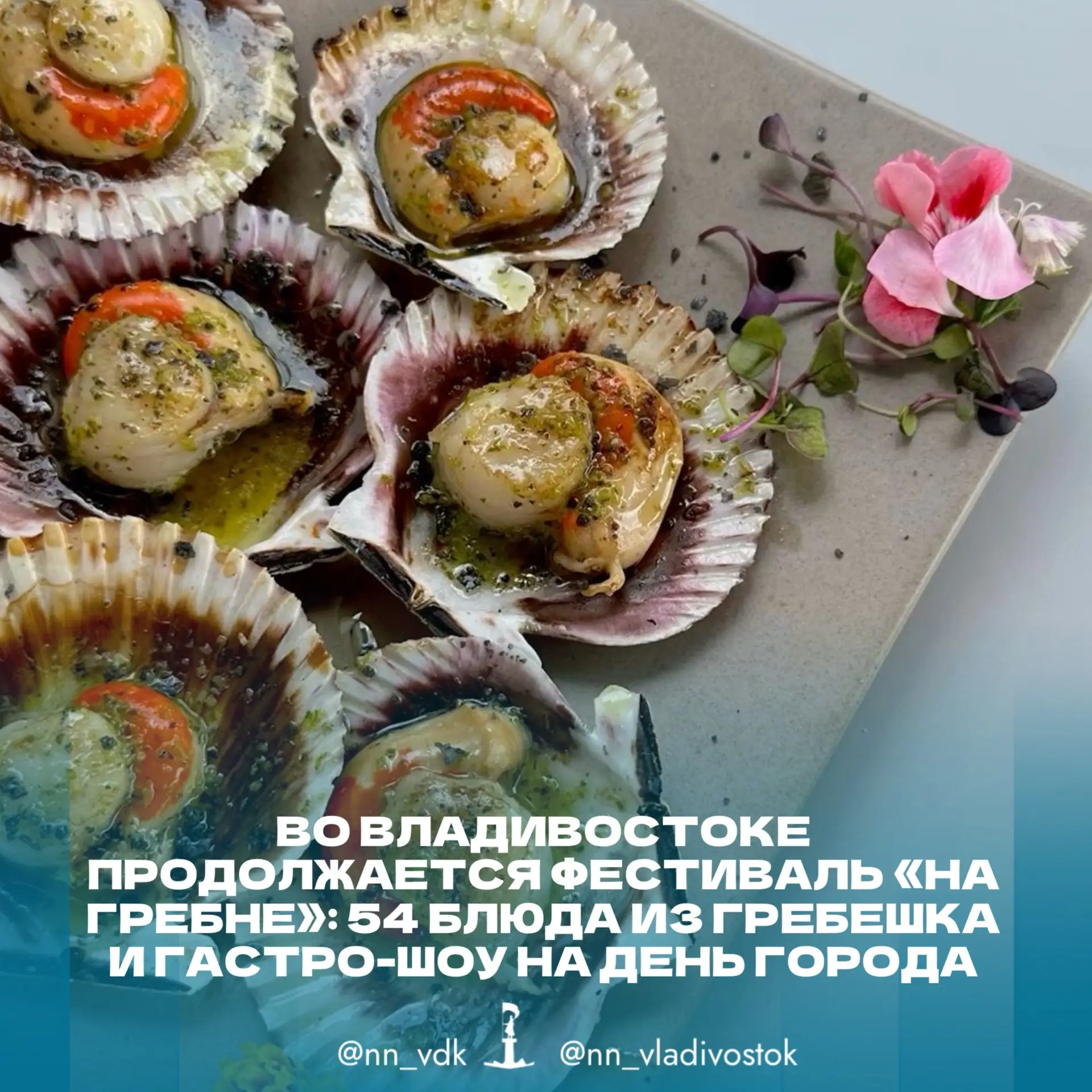 🦪🍜 Во Владивостоке продолжается фестиваль «На Гребне»: 54 блюда из гребешка и гастро-...