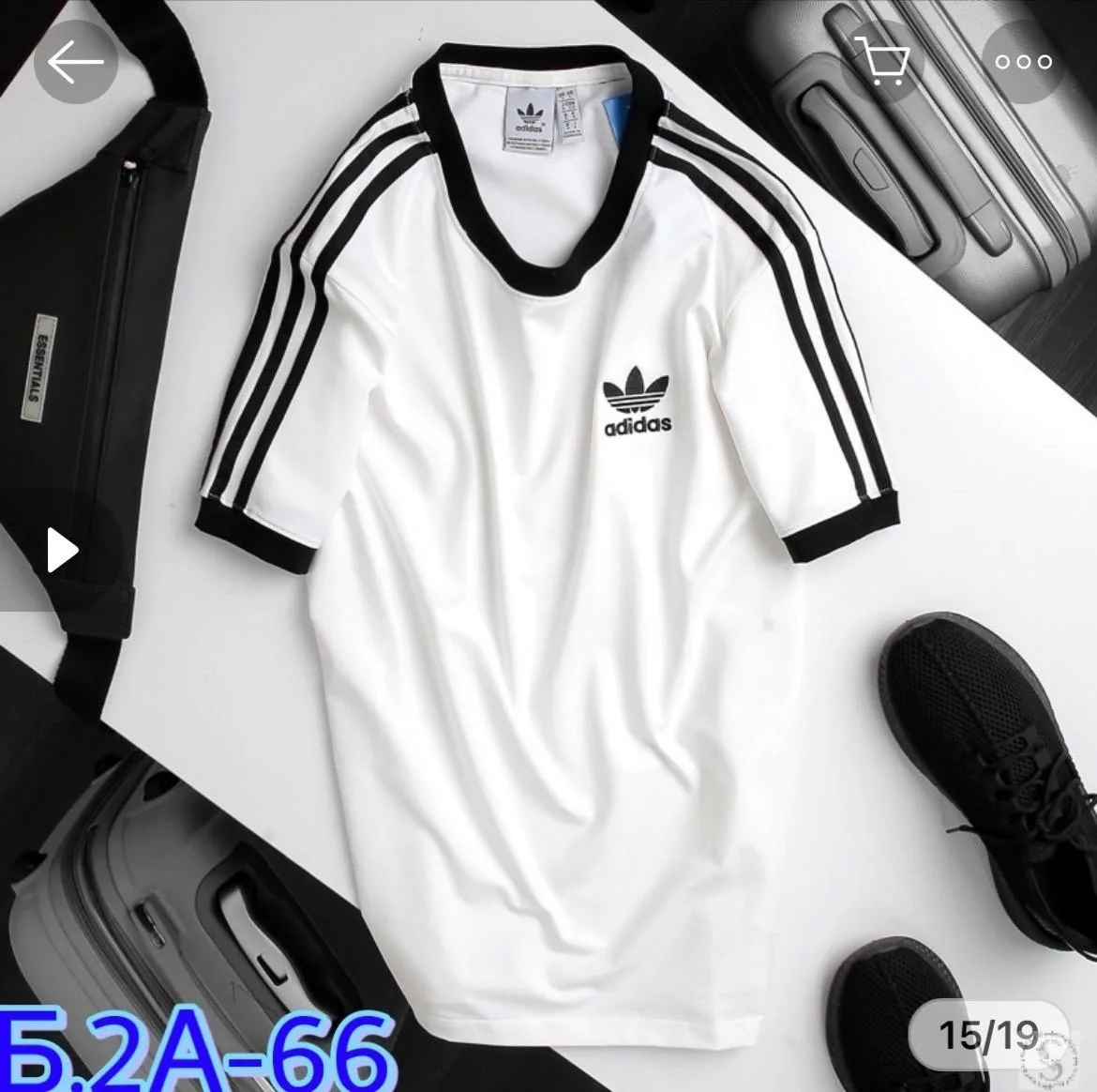 https://vk.com/photo-184814919_493536045