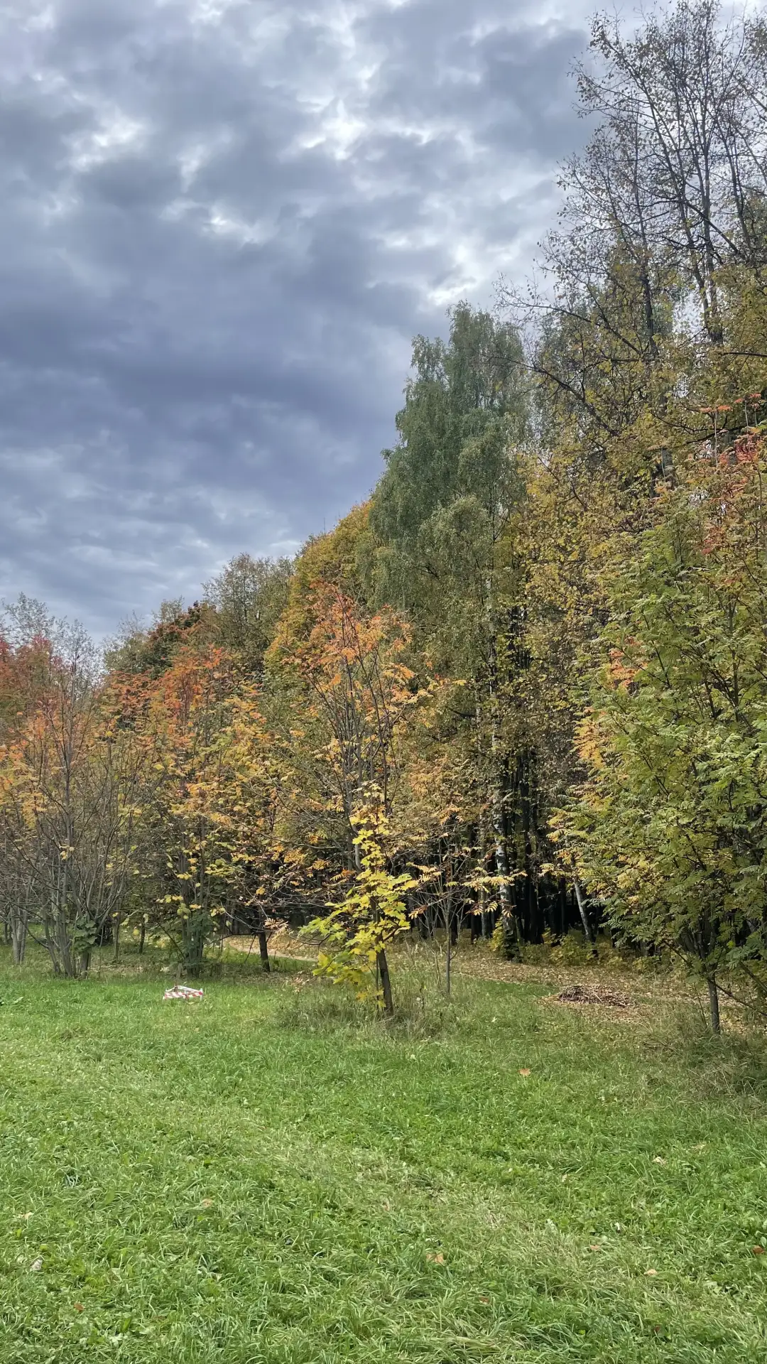 Осень прекрасна 🍂 🍁