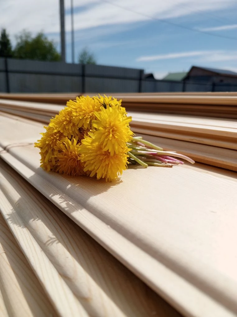 Всем солнечной недели🌞🌼