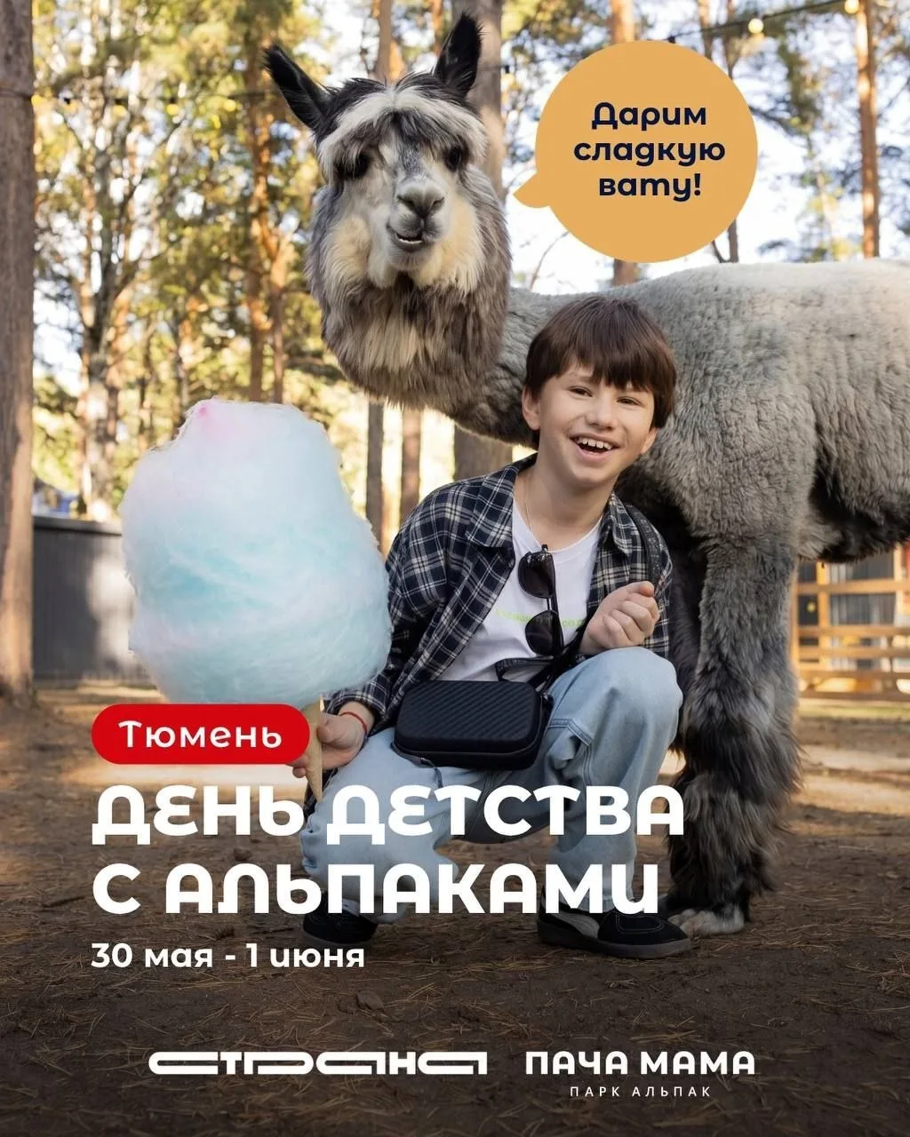 С 30 мая по 1 июня в тюменском парке альпак «Пача Мама» в Верхнем Бору застройщик «Страна Девелопмен
