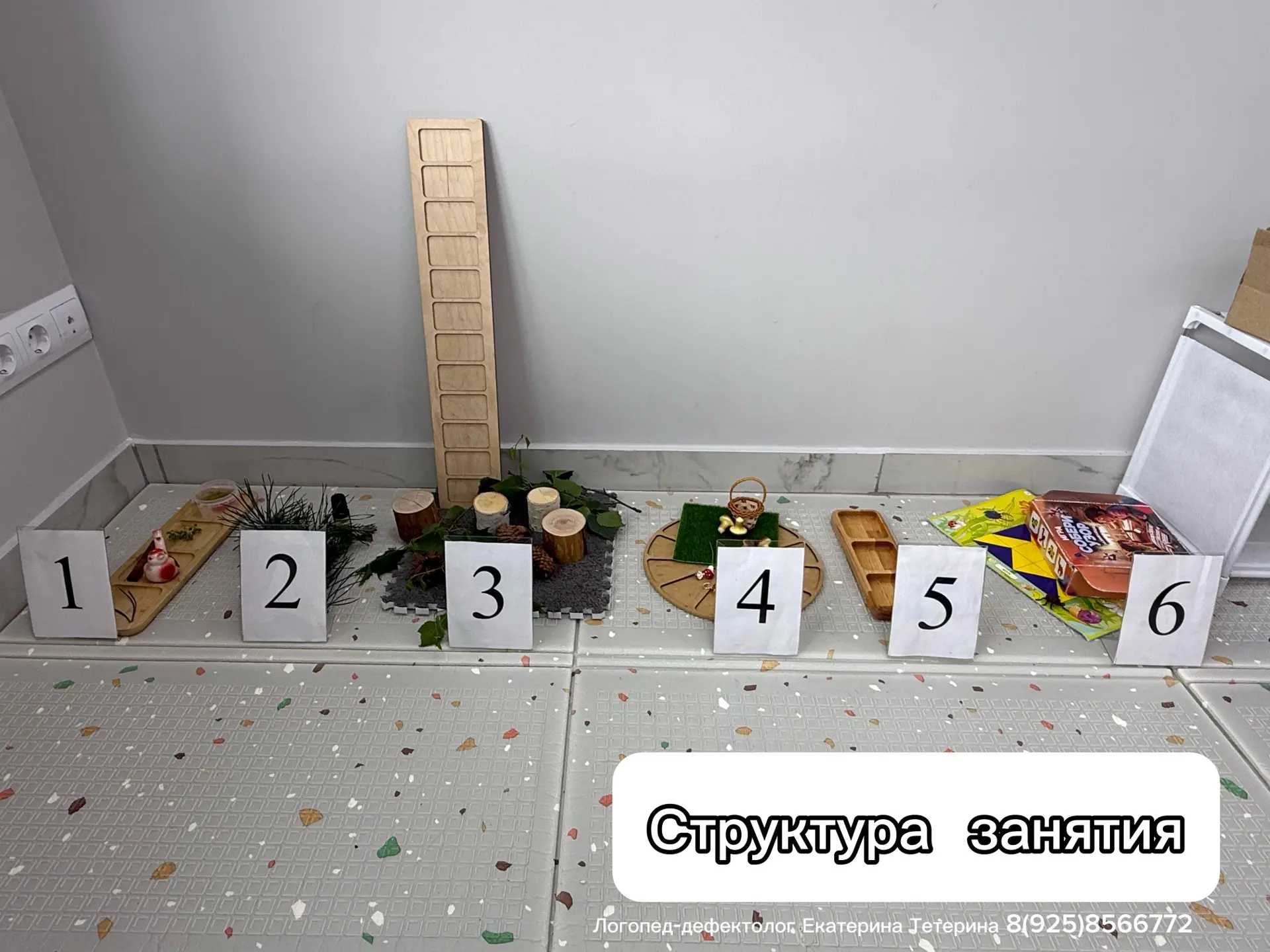СТРУКТУРА ЗАНЯТИЯ в лесной тематике