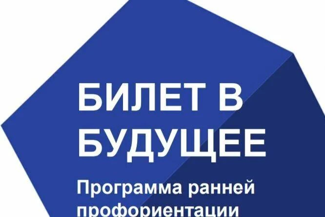В МБОУ «ООШ с. Новое Чаплино» проведены профессионально ориентационные занятия «Развити...