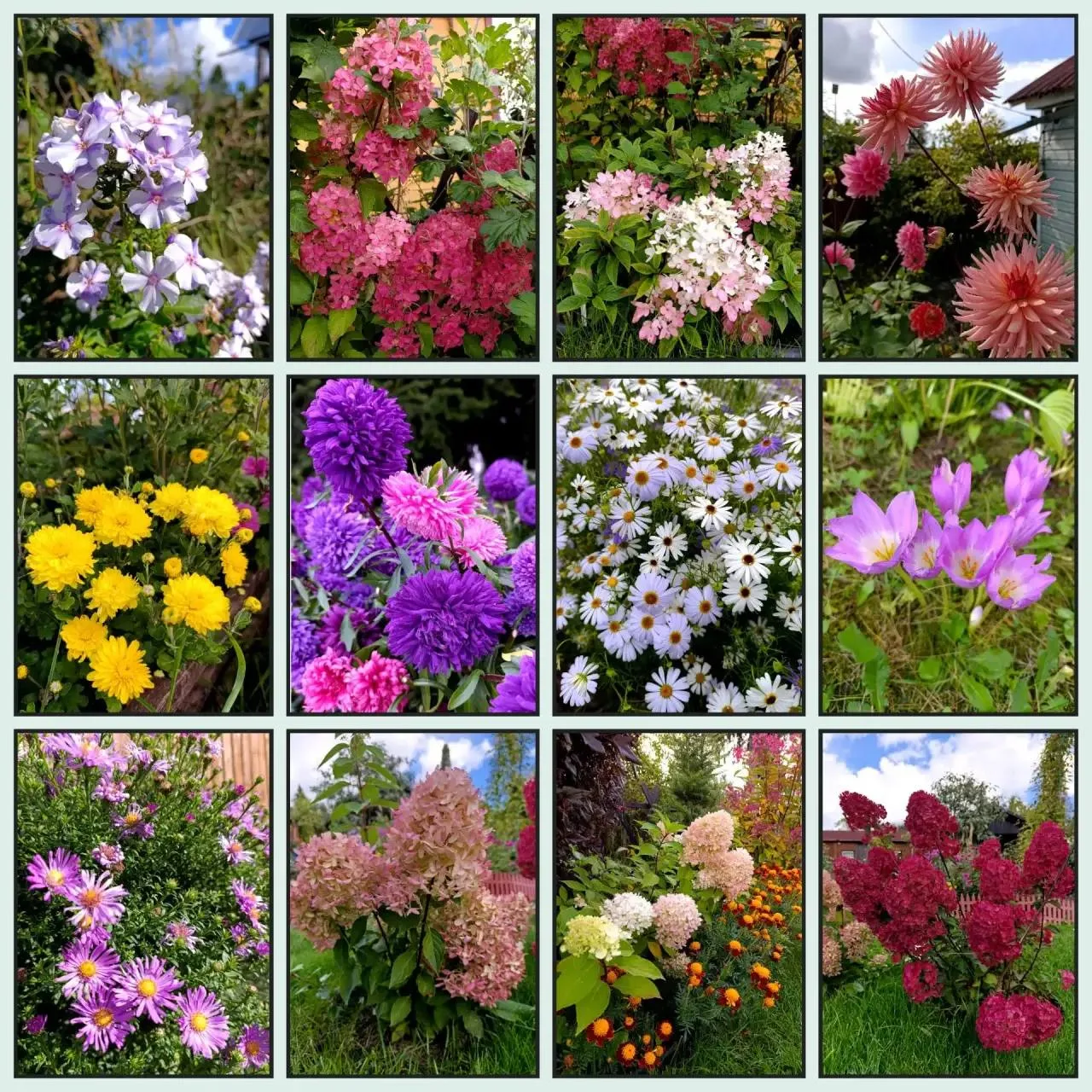 Яркие краски осени в коллаже подписчицы 🌸