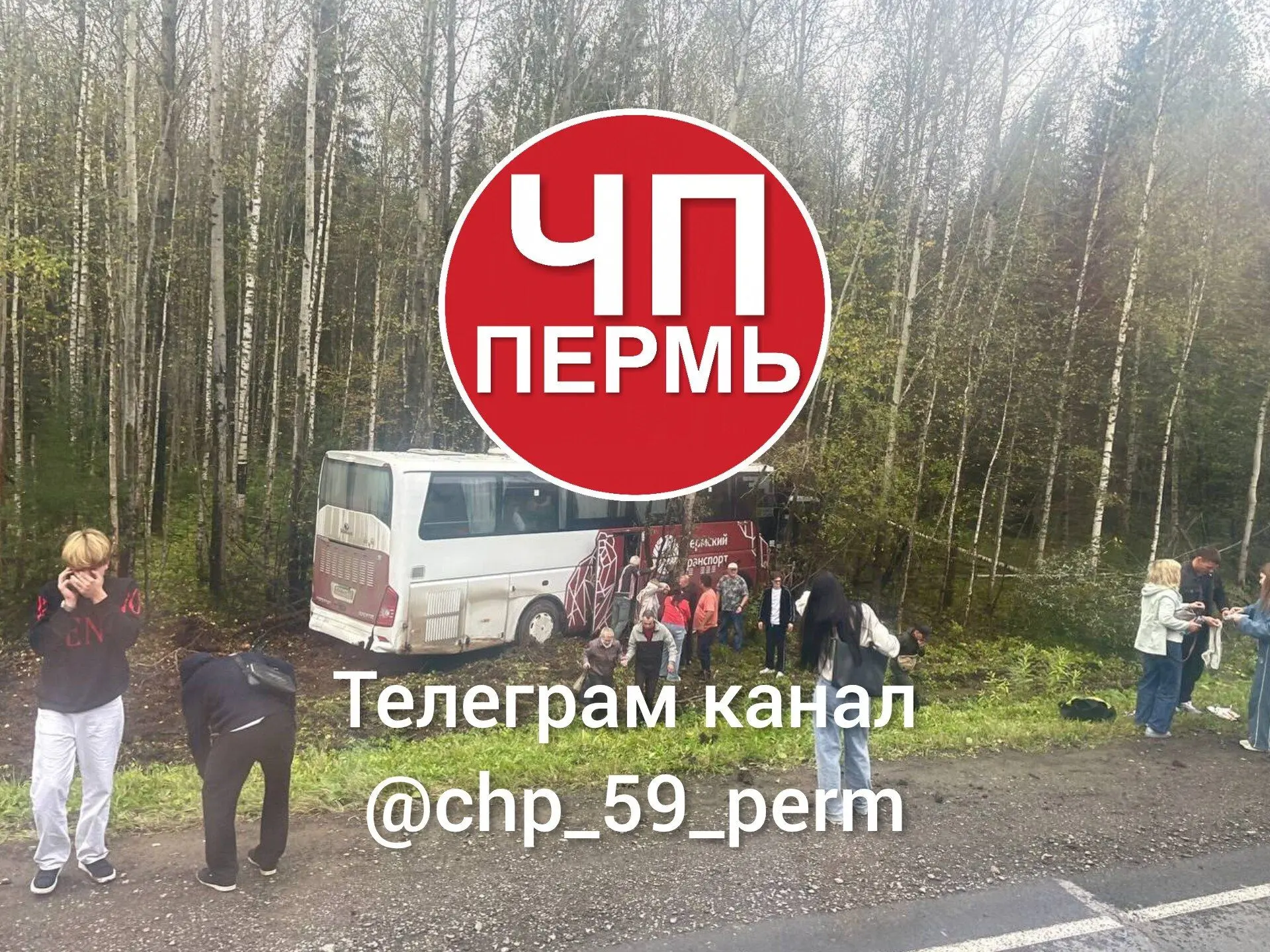 ❗️В ДТП с рейсовым автобусом и иномаркой у поселка Чёлва пострадали 20 человек. Еще оди...