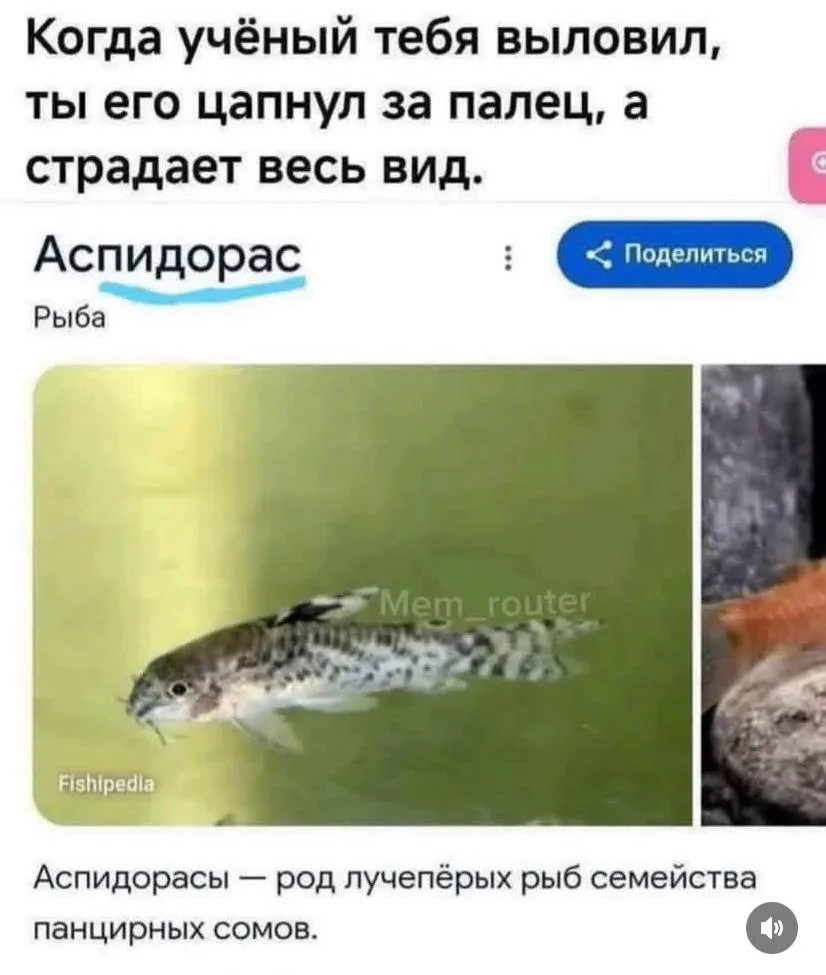 Когда учёный тебя выловил, ты его цапнул за палец, а теперь страдает весь вид.
