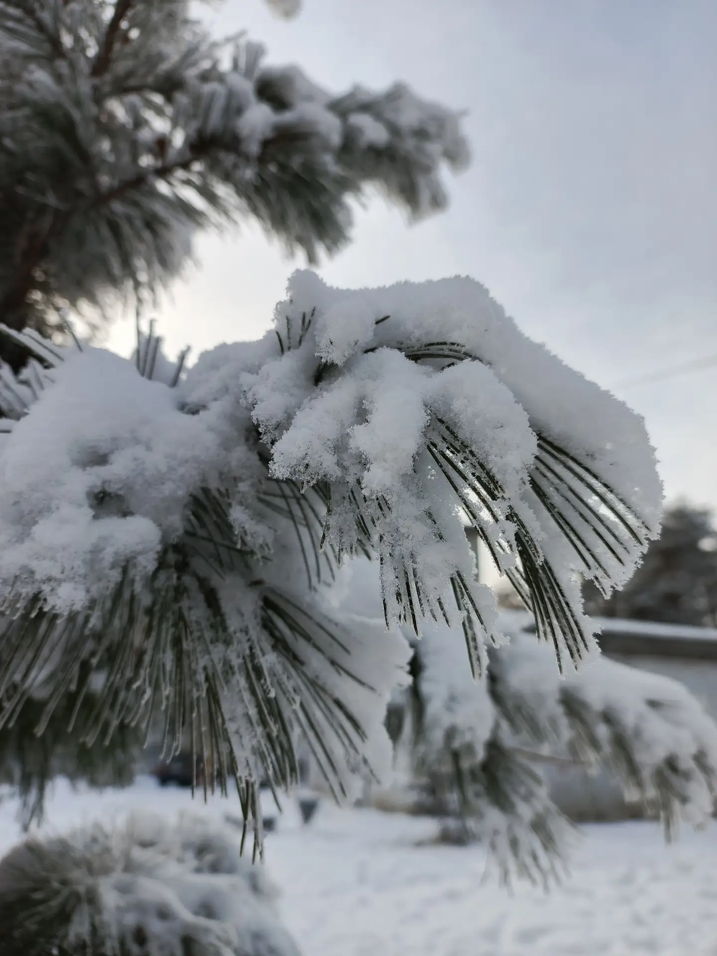 Синоптики прогнозируют суровую зиму 2026–2027 в Прикамье: похолодание начнётся во второ...