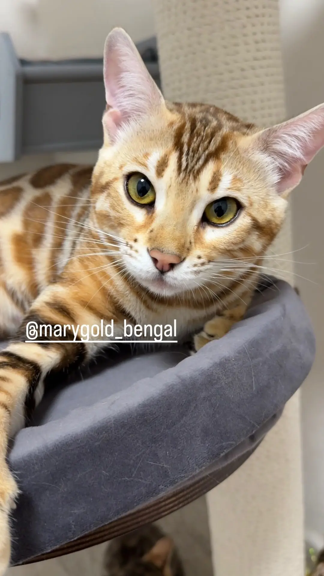 Молодая мамочка 💛