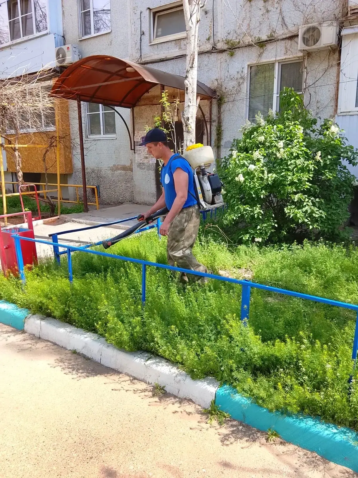 К новости «✨ Свободное дыхание и порядок во дворе!»