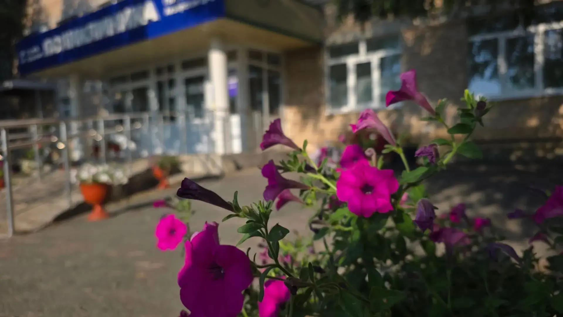 🙋‍♀️Здравствуйте и будьте здоровы ❣️🤝