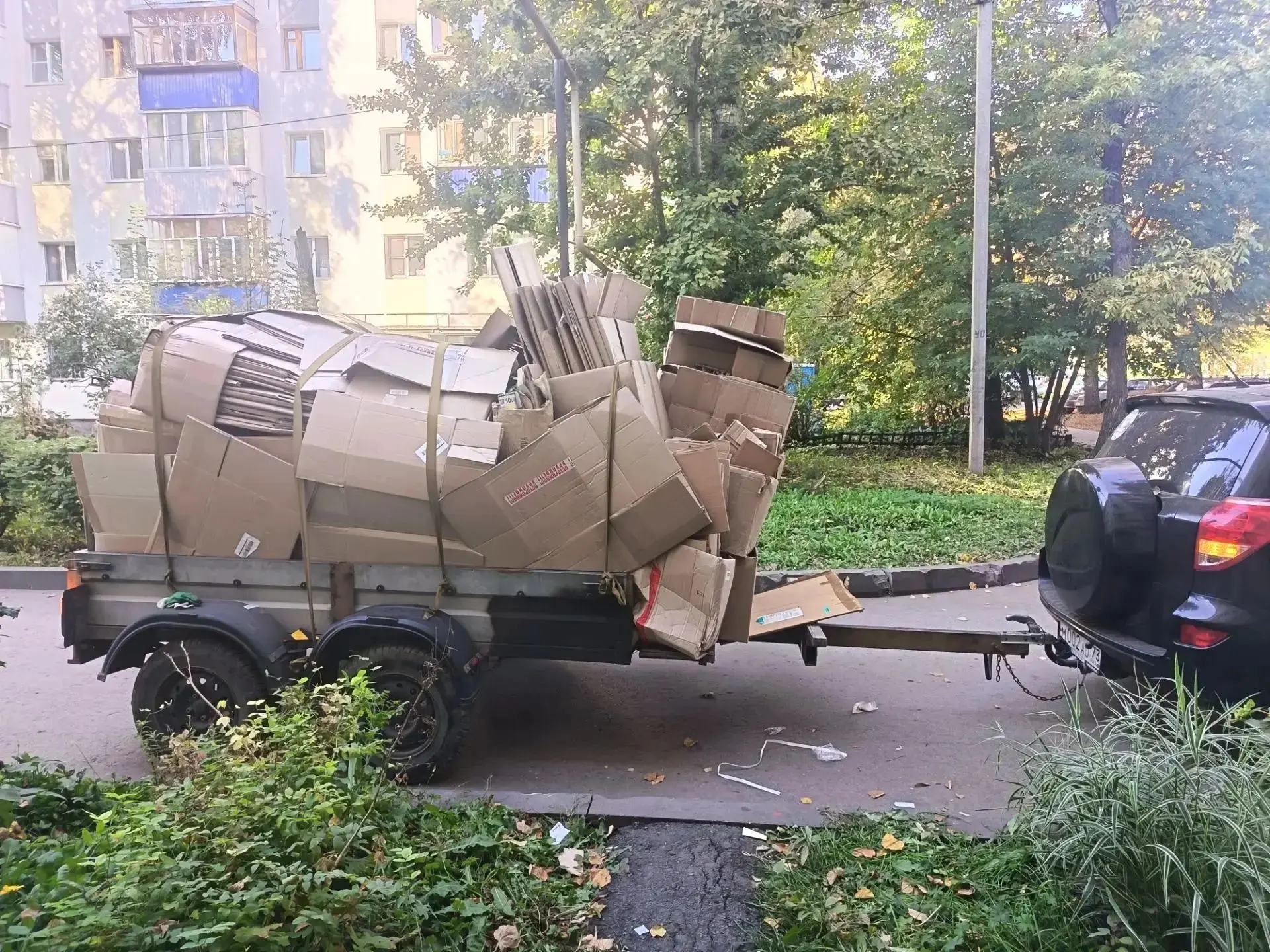 Вчера в нашей школе прошла акция «Сдай макулатуру — сохрани лес».