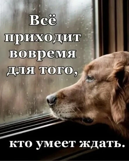 Ждать — это искусство, овладевают им медленно, а учитель один — всё то же время.