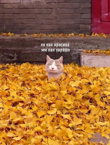 Погода сегодня в Ульяновске