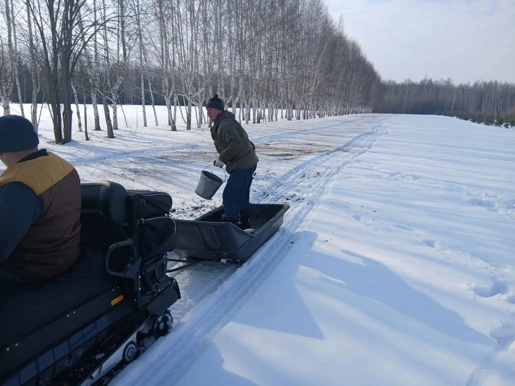 Чернение снега,, разбрасывание золы в посевных отделениях лесных питомников