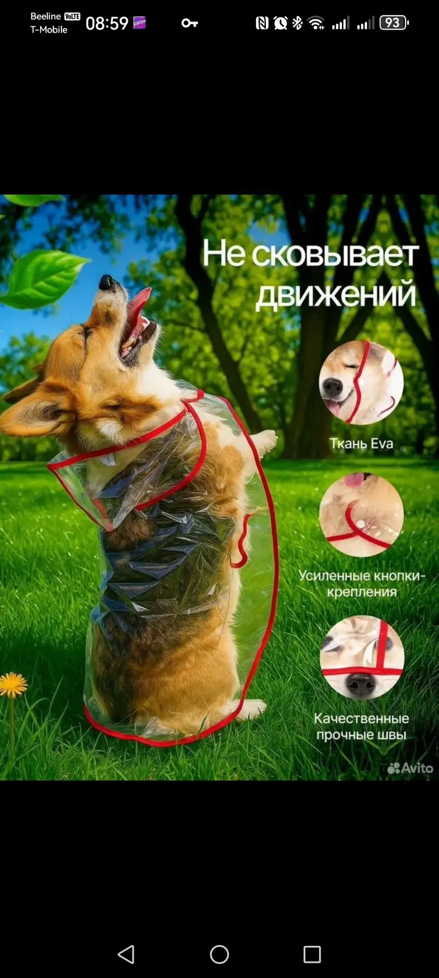 Добрый день. Продам дождевик для небольшой собачки 300р.(мы брали за 600)