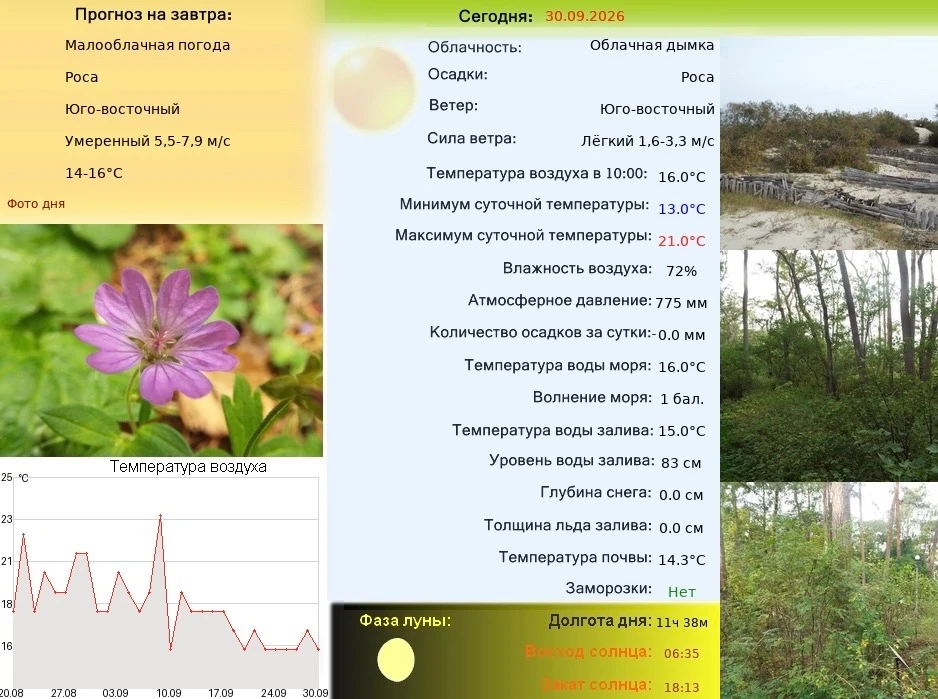 На Куршской косе с утра погода вчерашнего дня. Ветер стих.