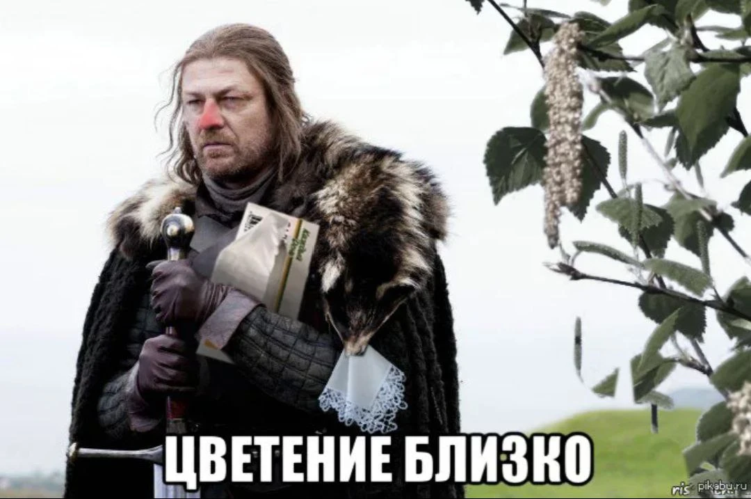 ТОП ДОБАВОК ОТ СЕЗОННОЙ АЛЛЕРГИИ