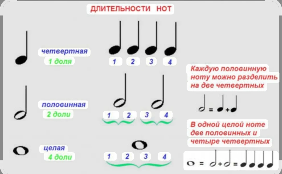 Длительности нот🎶