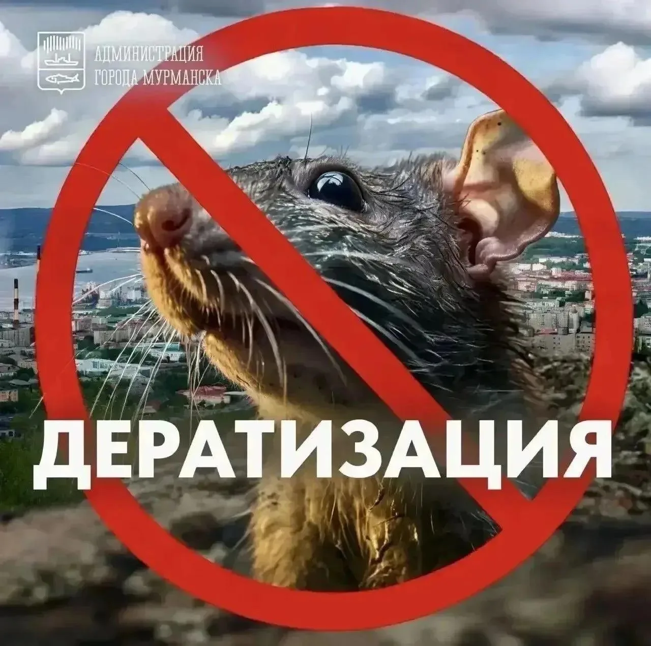 Мэр Мурманска с суровой программой