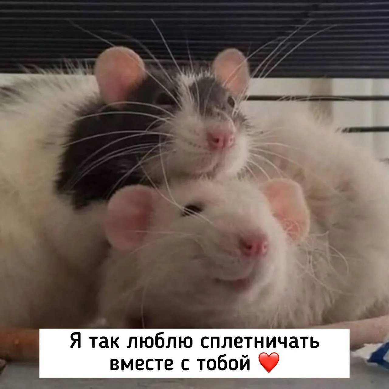 Изображение 1 к публикации «Уфа Первая»