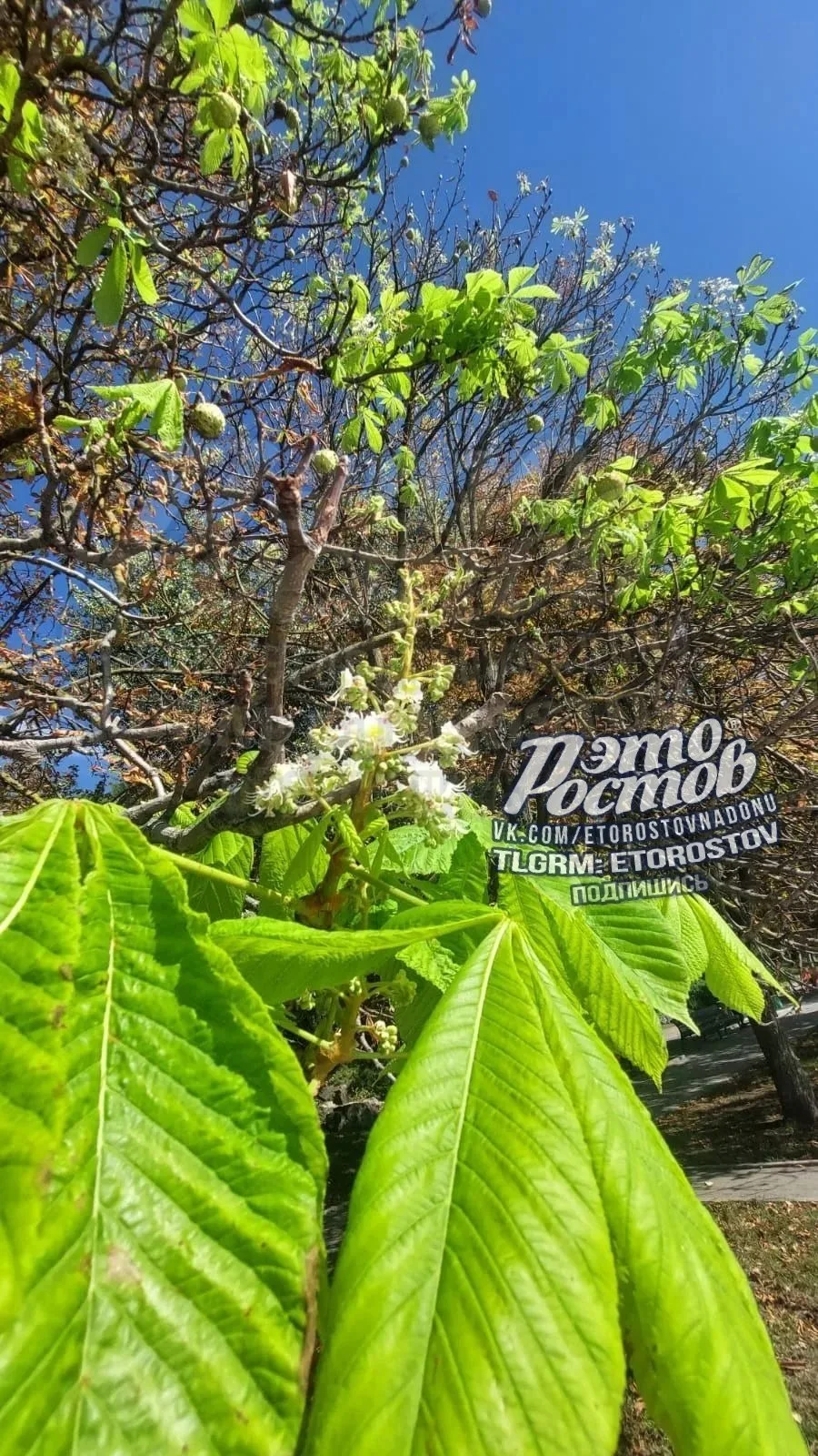 Весна, лето или осень?
