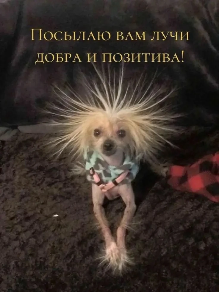 💌 Добрые открытки! Подписаться