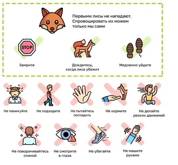 https://vk.ru/wall-214105386_943