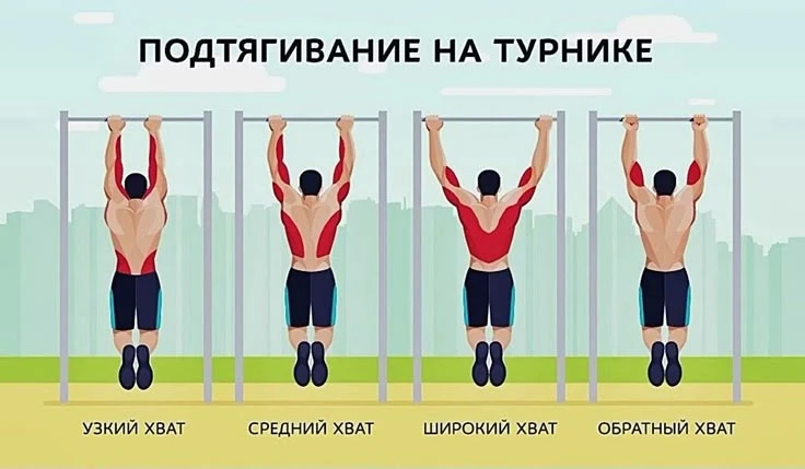 Как смещается нагрузка при подтягивании разными хватами.