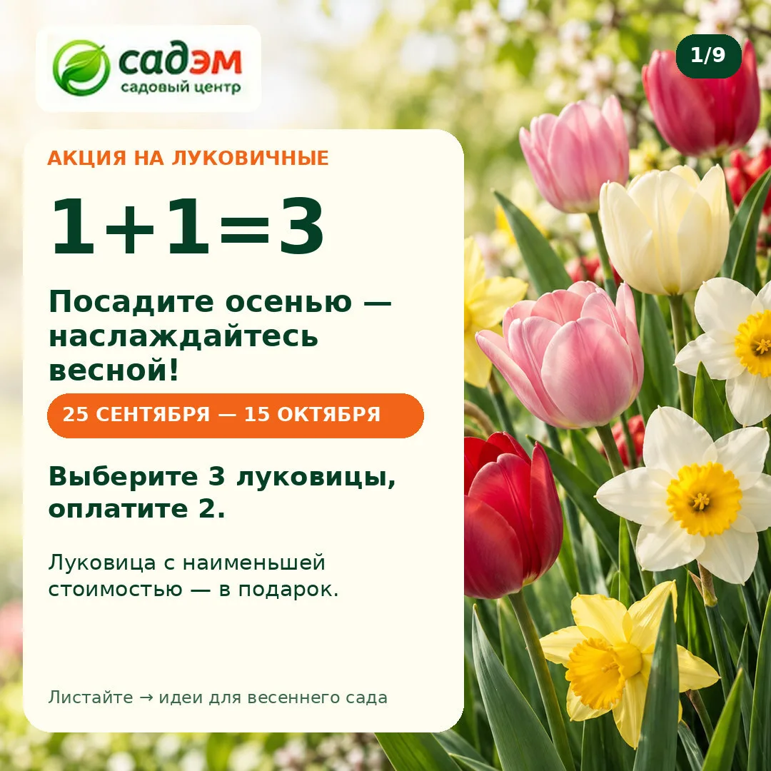 Новое поступление торопитесь друзья 💚🤗