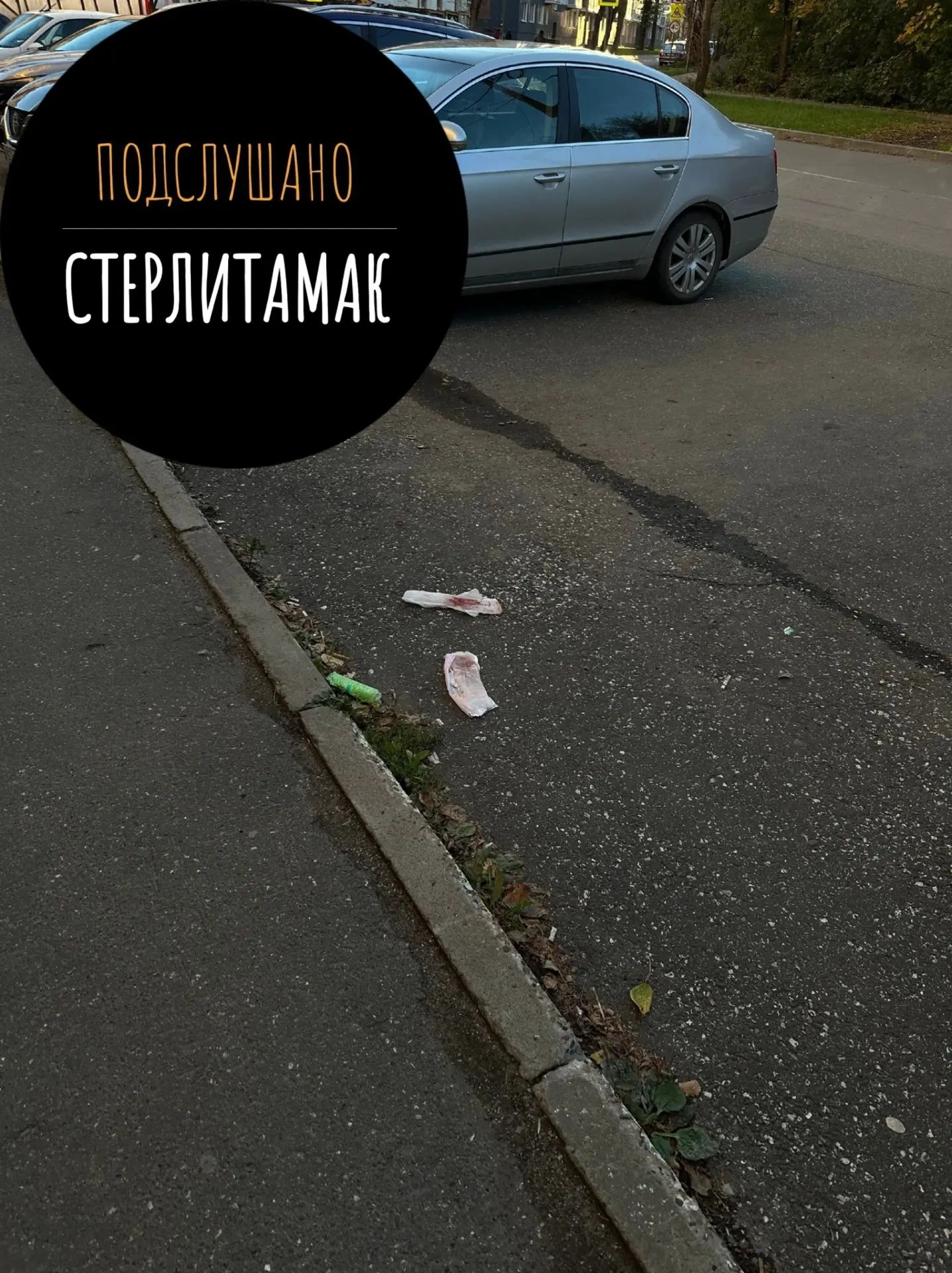 (от подписчика)