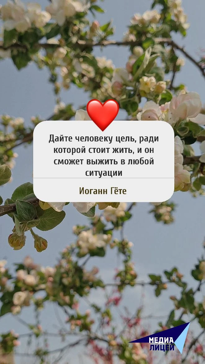Начинаем новую неделю с хорошей мысли внутри, с заботы о себе.