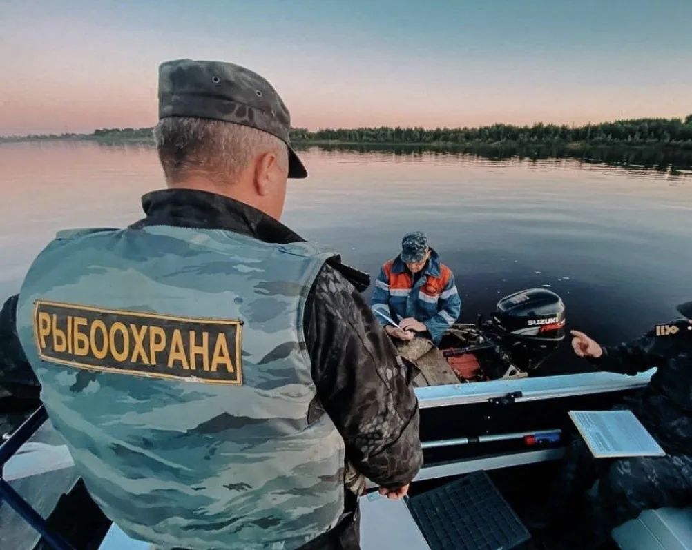 «Нарушения» ради показателей