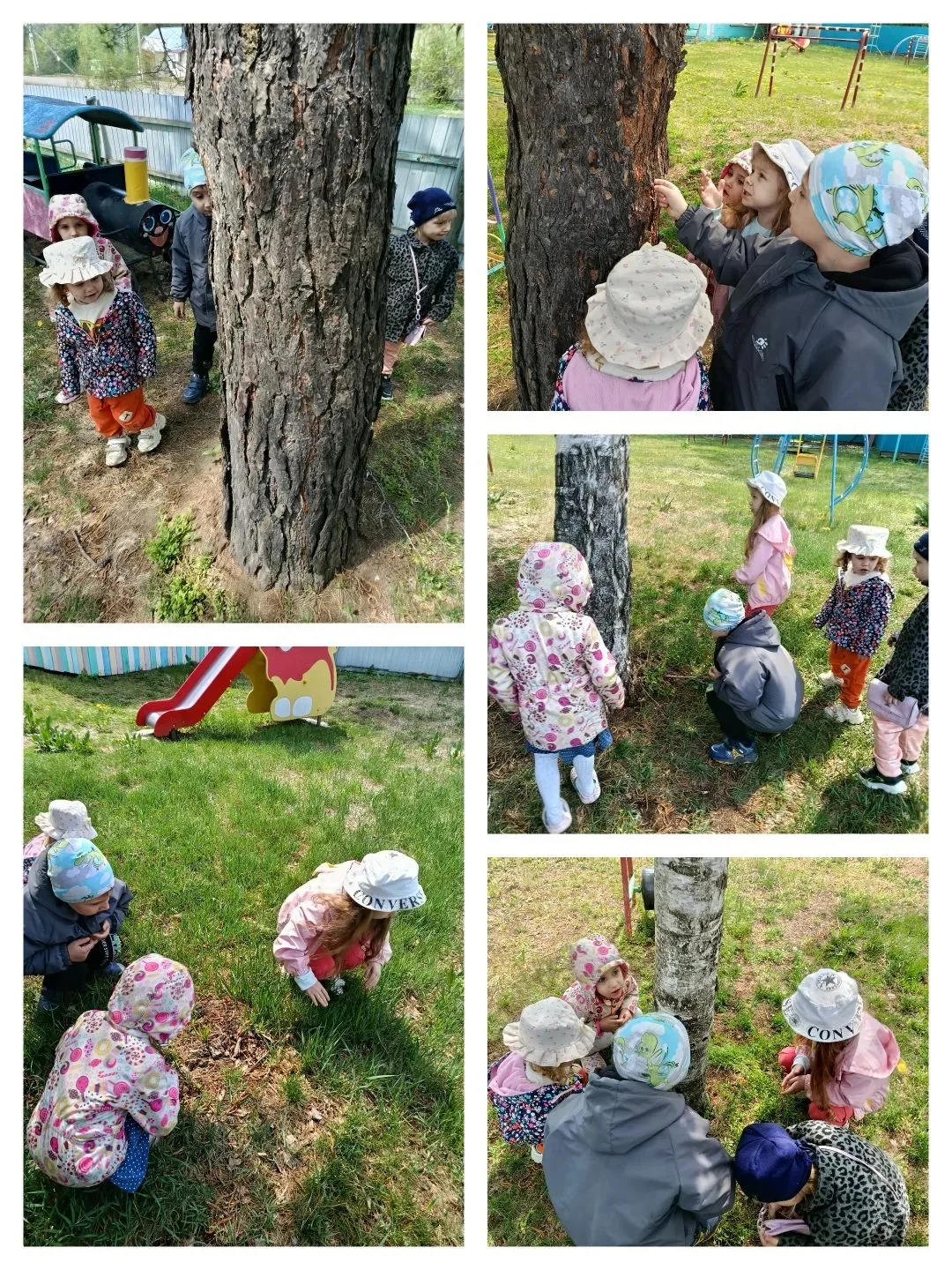 Этот вестник тёплых дней