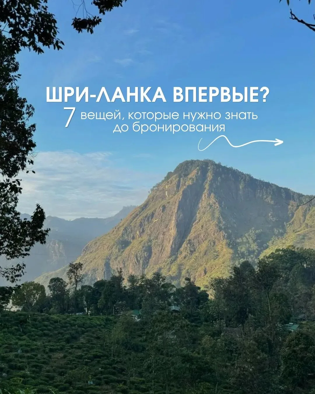 🌴 Шри‑Ланка впервые? Сначала месяц, потом курорт — иначе рискуете получить не тот отды...